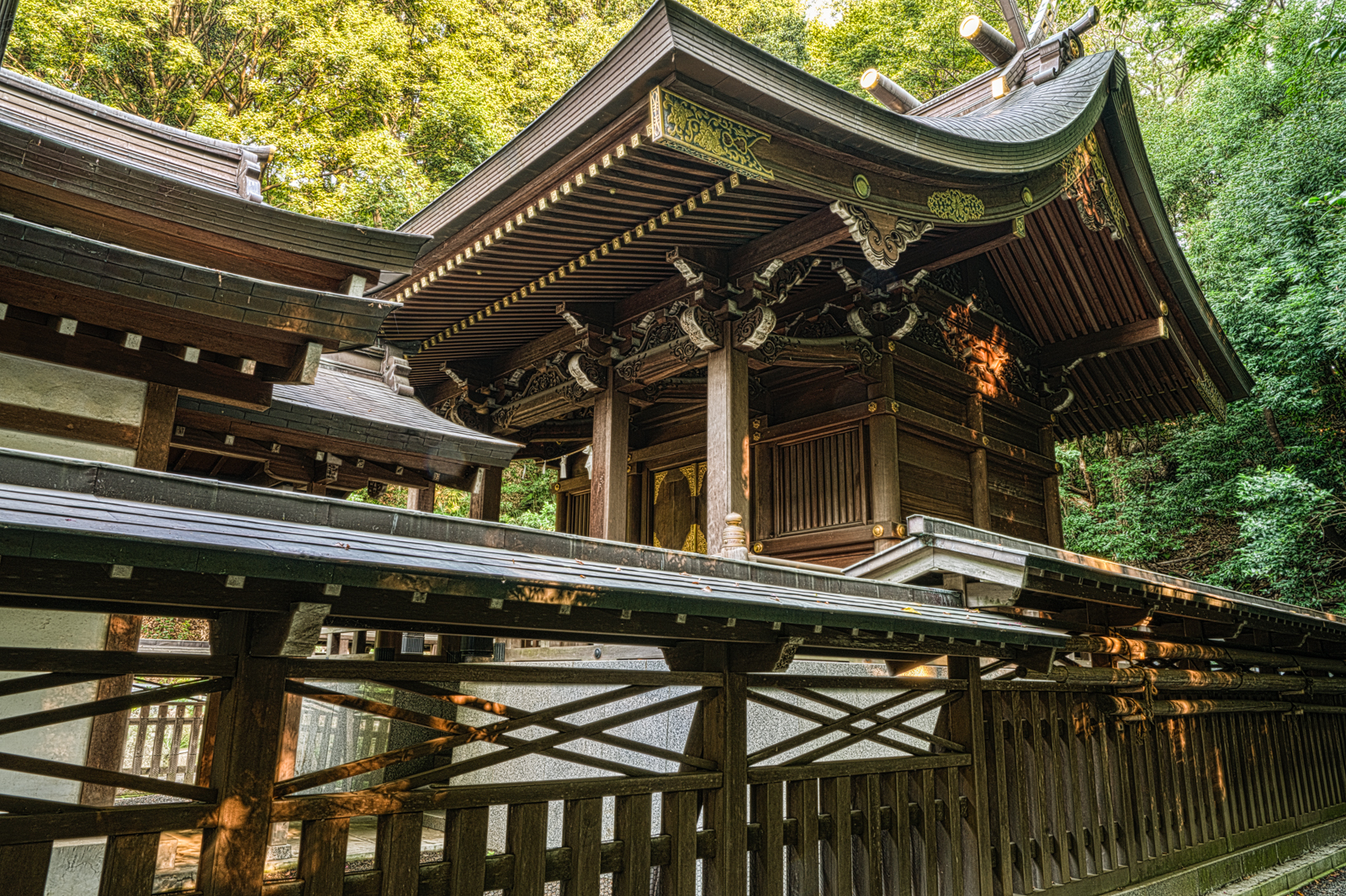 貫井神社、本殿と東側の玉垣