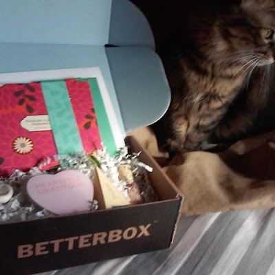 BetterBox.Life BetterBox.Life