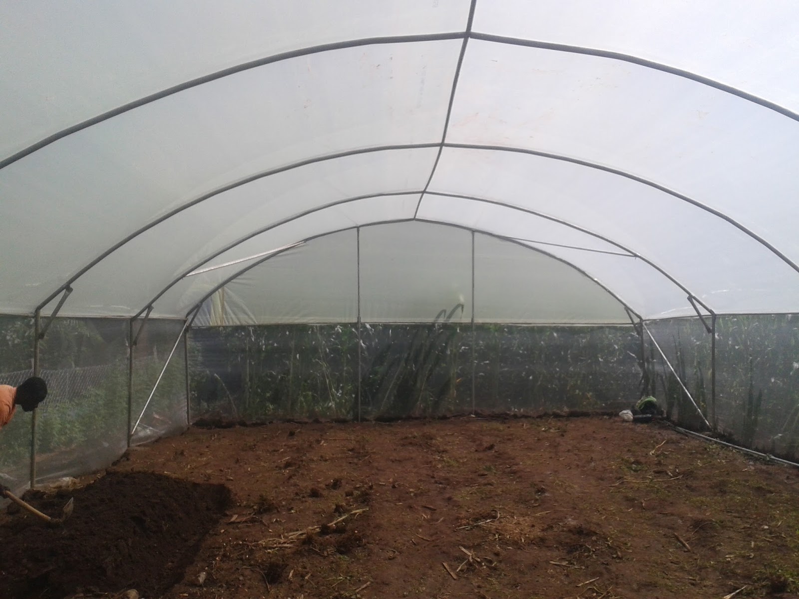 QUALITY AND AFFORDABLE GREENHOUSES FOR KENYA