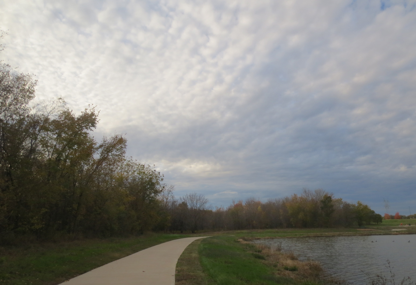To know a place Oak Point Nature Preserve Cloudwatching at Oak Point