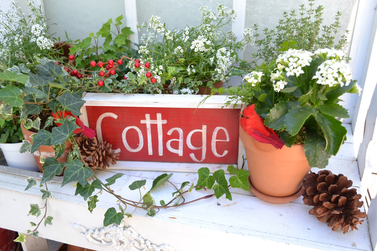 My Painted Garden Christmas Traditions / Garden Gifts