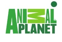 animal planet polska online