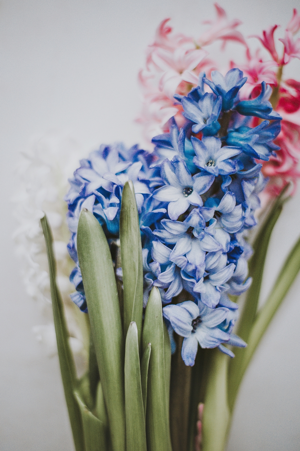 La Citta Di Carta Festa Della Mamma 2 Muttertag 2