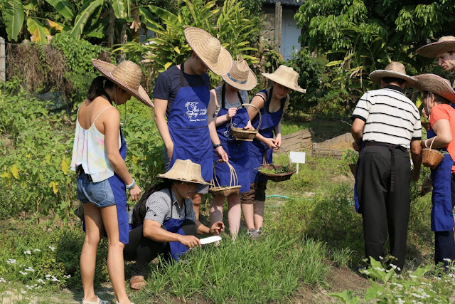 Thai Secret Cooking Class Photos. March 5-2017. Pa Phai, San Sai District, Chiang Mai, Thailand.