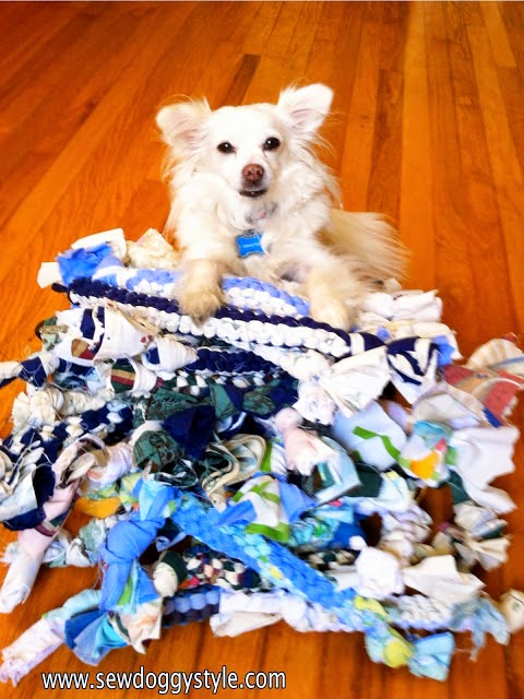 Sew DoggyStyle: Craft for Shelters