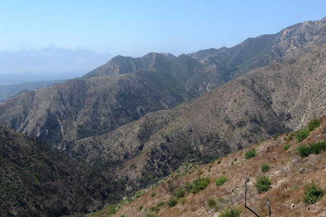 a green canyon nearby