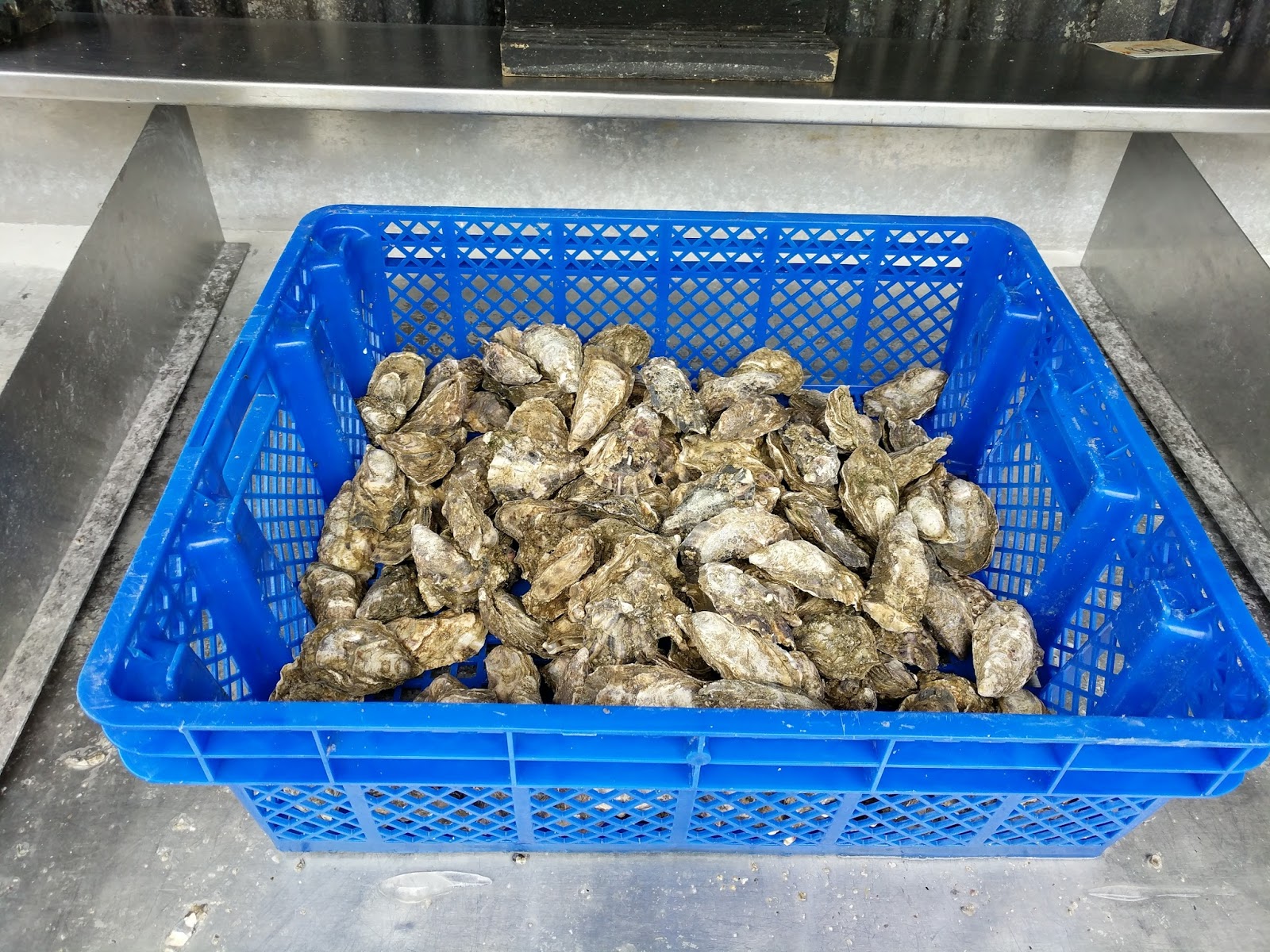 JibberJabberUK Sunday Snap The oyster town