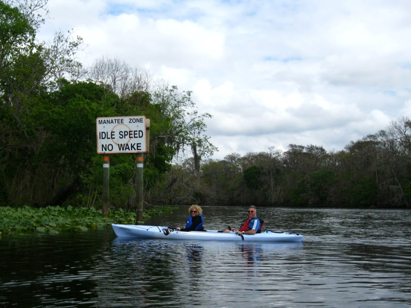 Central Florida Kayak Tours Kayaking with the Manatees, February 6, 2013