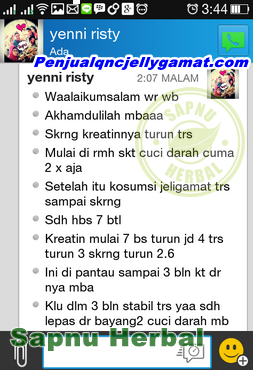 Cara Mengobati Ginjal Bocor Secara Alami Agar Cepat Sembuh Cara Mengobati Ginjal Bocor Secara Alami Agar Cepat Sembuh