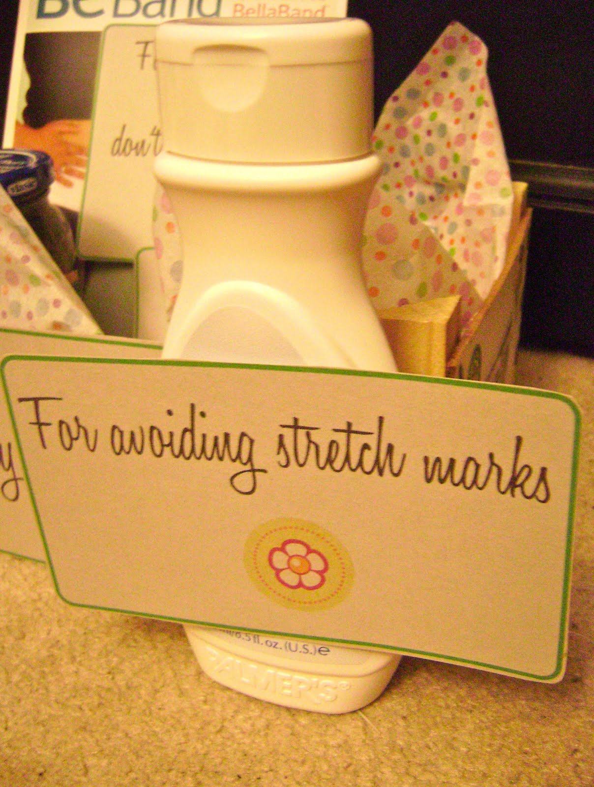 The Unstoppable Mrs. Kinne Pregnancy Survival Kit