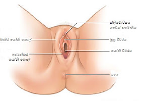 h9991308-001.jpg