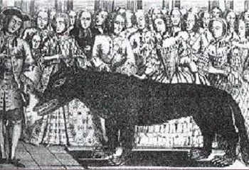 Misteri The Beast of Gevaudan