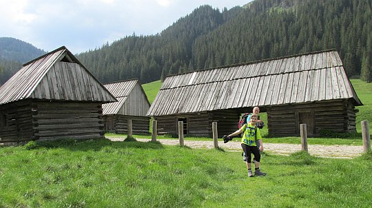 Polana Chochołowska.