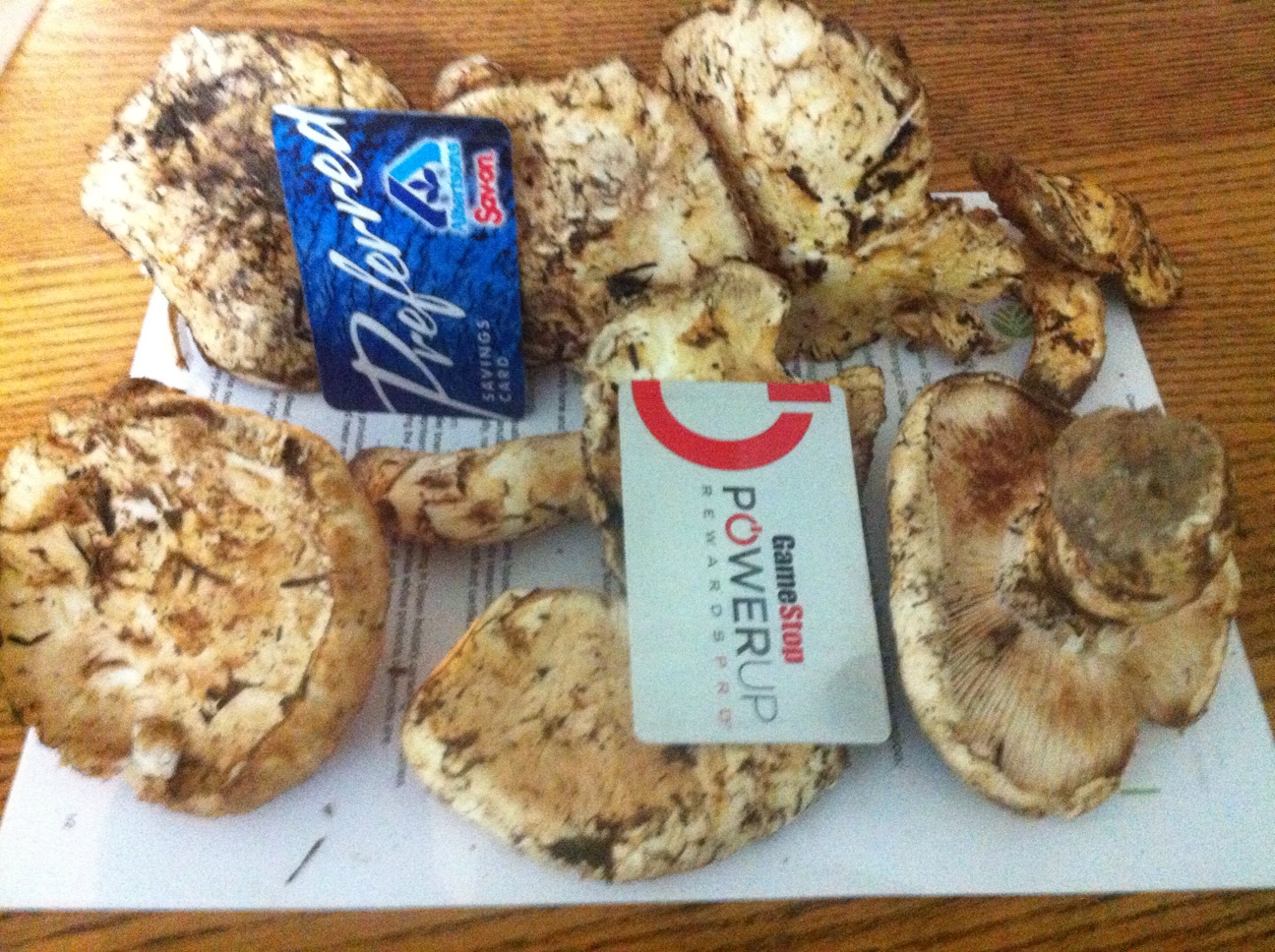 Gourmet Foragables How to find and cook with wild edibles Fall