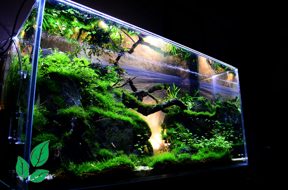 Model Akuarium Model Akuarium