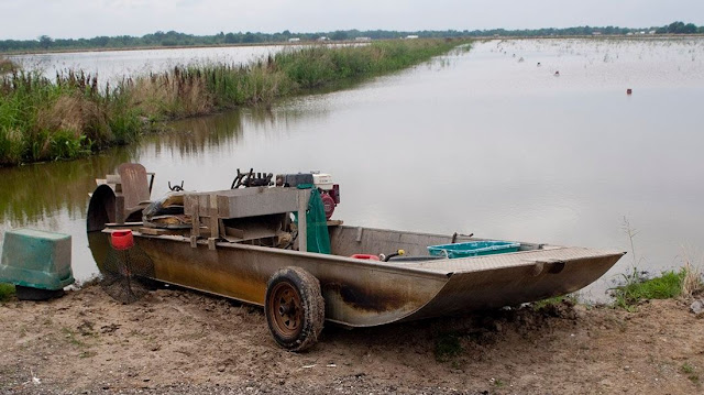 Just A Car Guy: Crawfish boats&hellip; crawfish, are like tiny lobsters