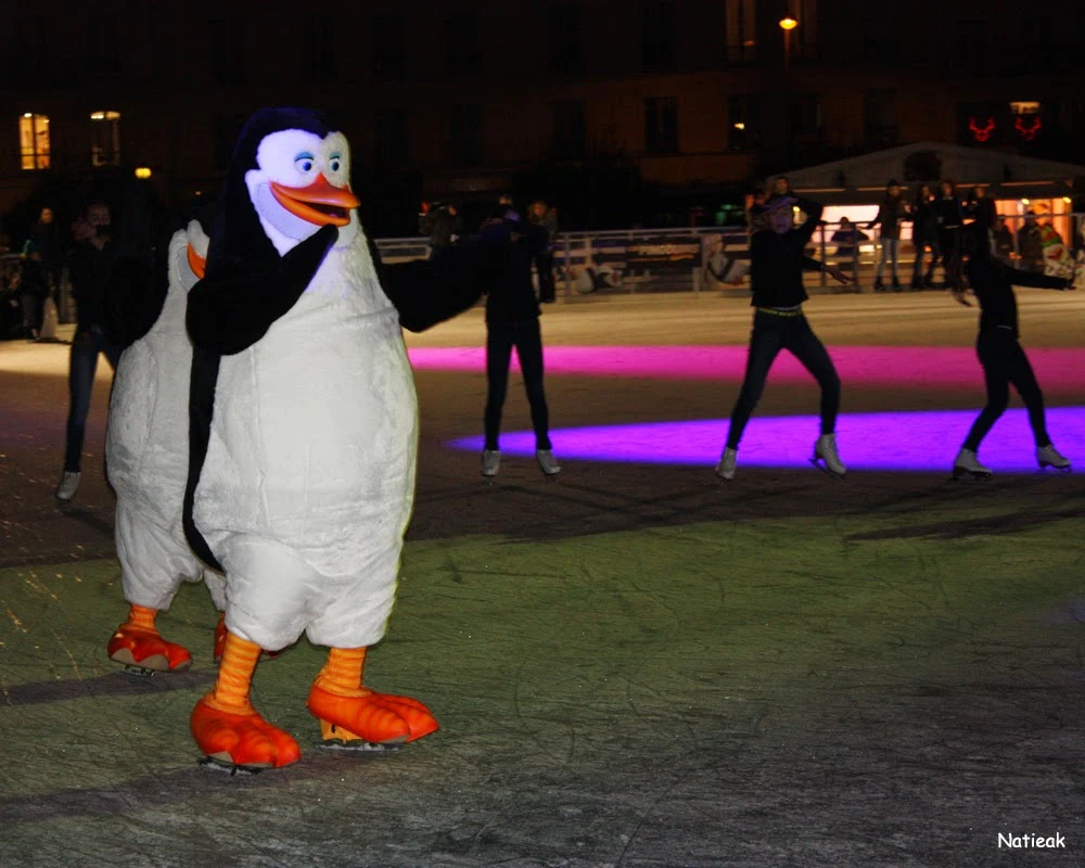 Les pingouins de madagascar font leurs show Celebrate