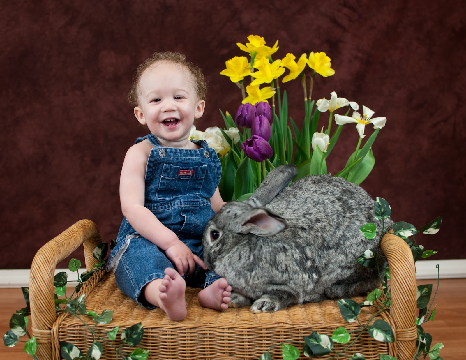 Classic Creations Photography Live Bunny Sessions are Now Booking