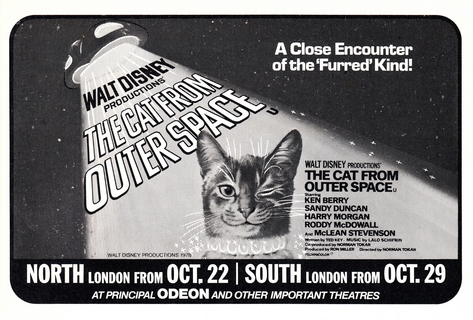 The Cat Ladies The Cat From Outer Space 1978  the-cat-ladies-the-cat-from-outer-space-1978