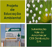 Projeto de Educação Ambiental da Subestação do Vale do Amanhecer CEB Distribuição S/A