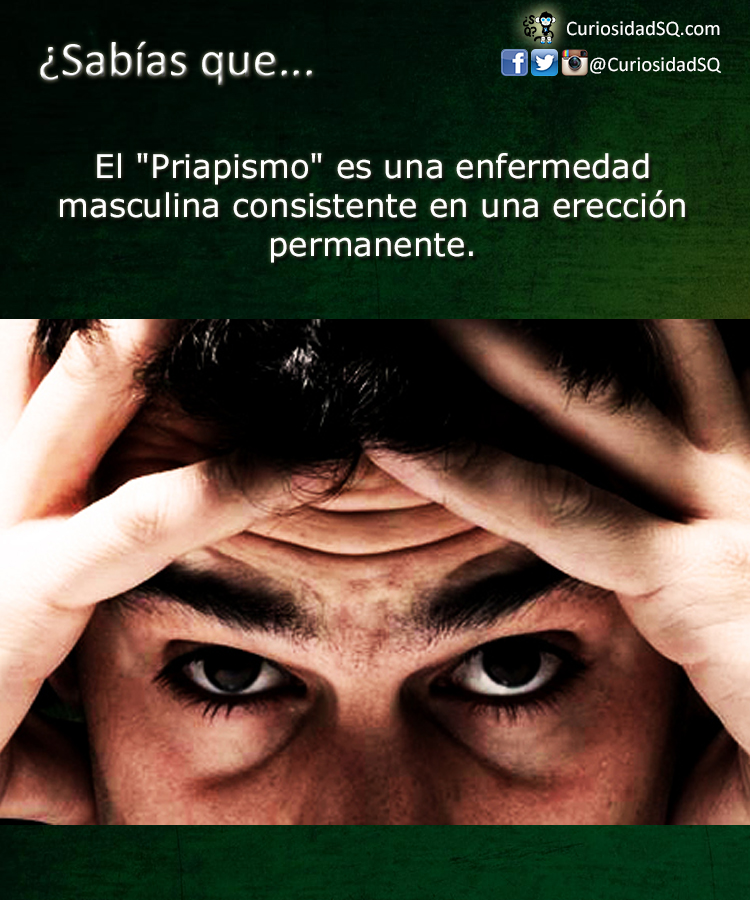 que es el priapismo masculino