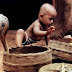 Crazy, Amazing and Funny Pictures