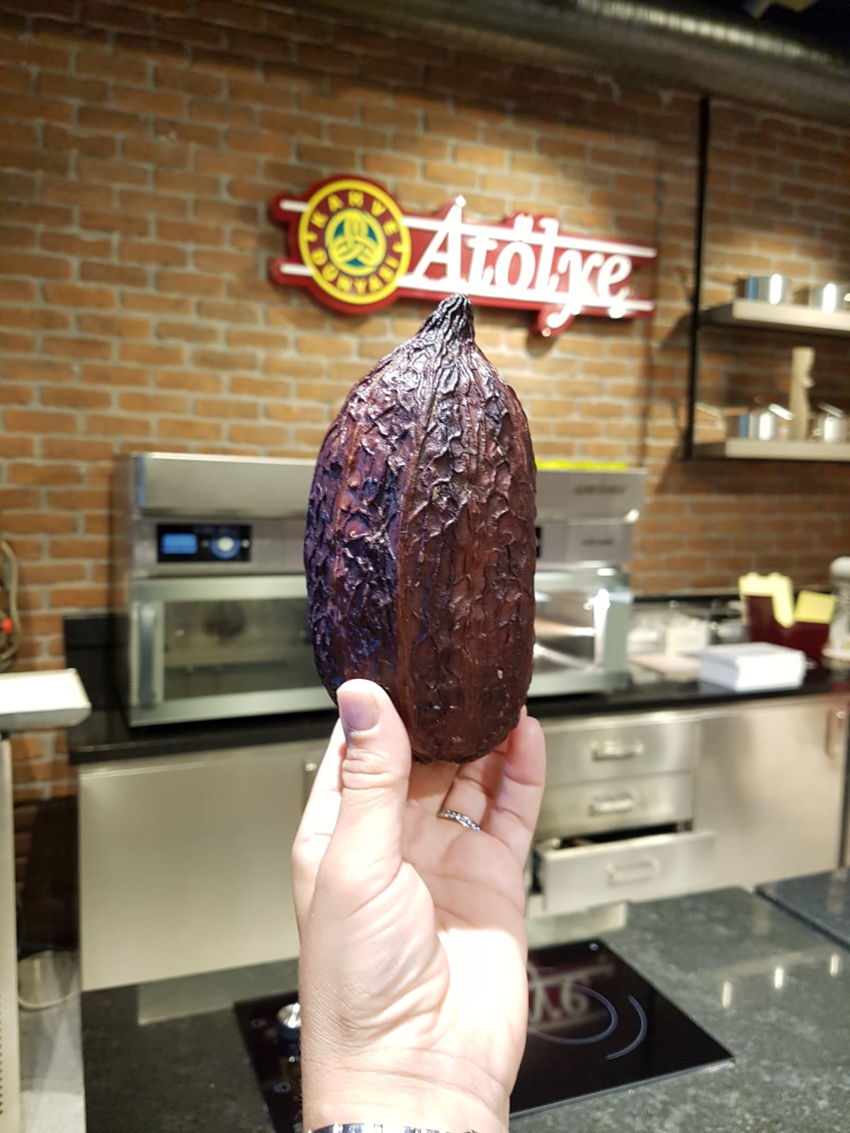 Lezzet Duragi Çikolata Kahve Tadında Bir Gün &amp; Kahve Dünyası Çikolata