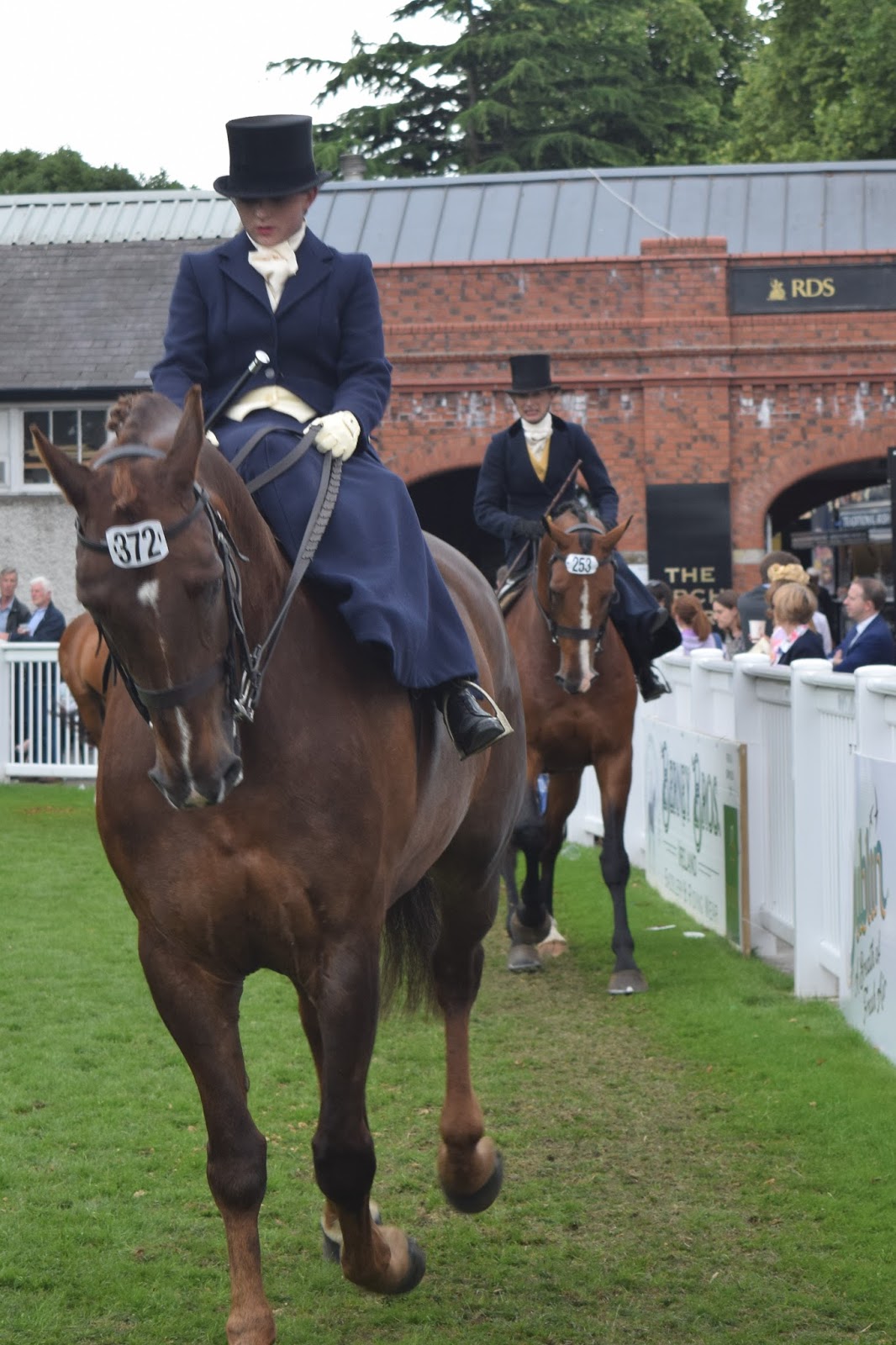 Wordless Wednesday Sidesaddle glamour at Dublin Horse Show real