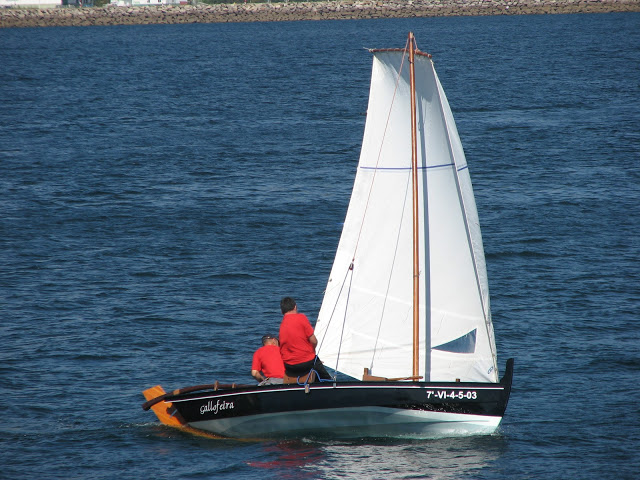 Proyecto Homo Dornas