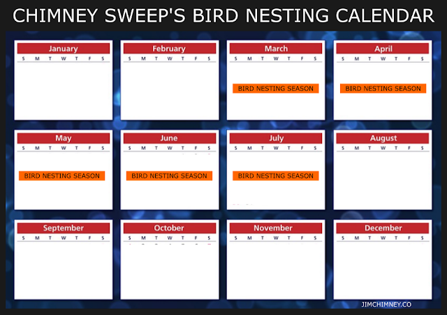 bird nesting calendar chimney sweep