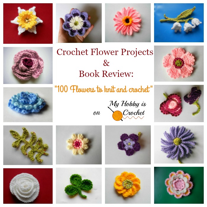 My Hobby Is Crochet: My Crochet Flower Projects and Book Review: 100  Flowers to Knit and Crochet by Lesley Stanfield