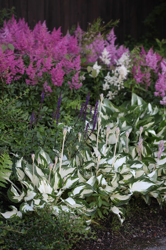 Garden Living: Botanisk hage i Gøteborg - Sommer