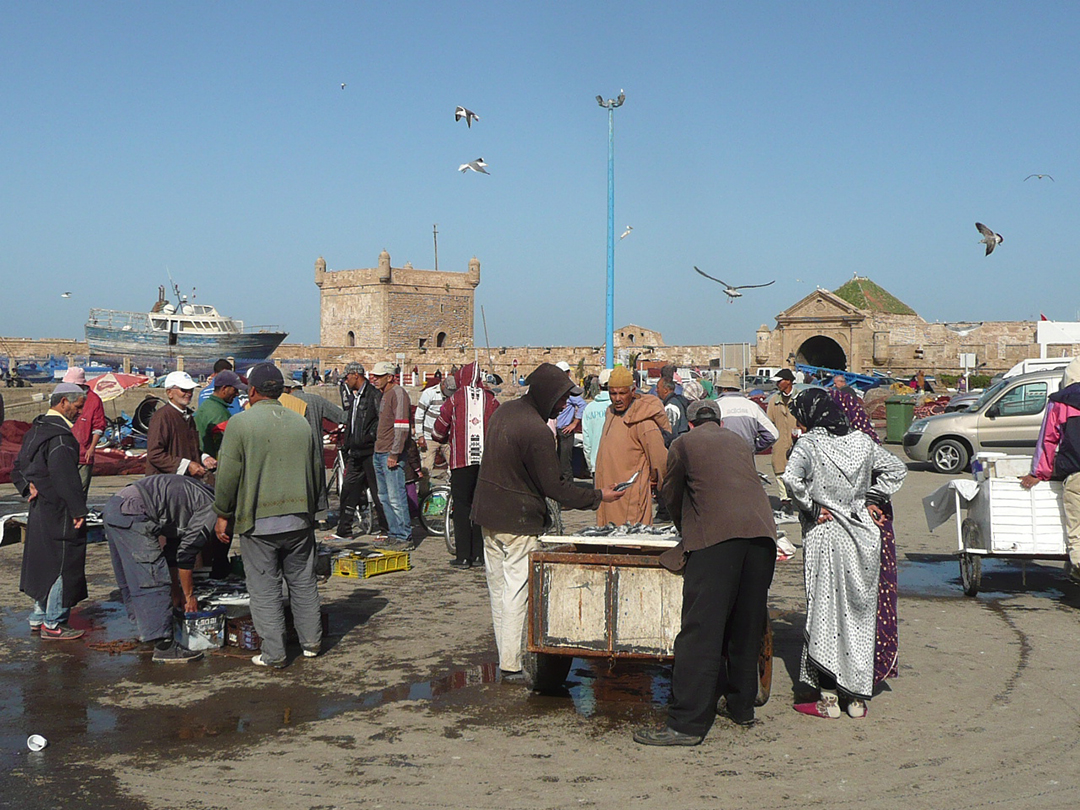 Baywin Giriş: Nasıl Yapılır?