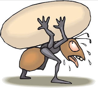 Umpan Mancing Ikan Mas Tanpa Kroto - KailBayu