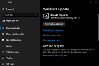 Những câu hỏi thường gặp về Windows Update trong Windows 10