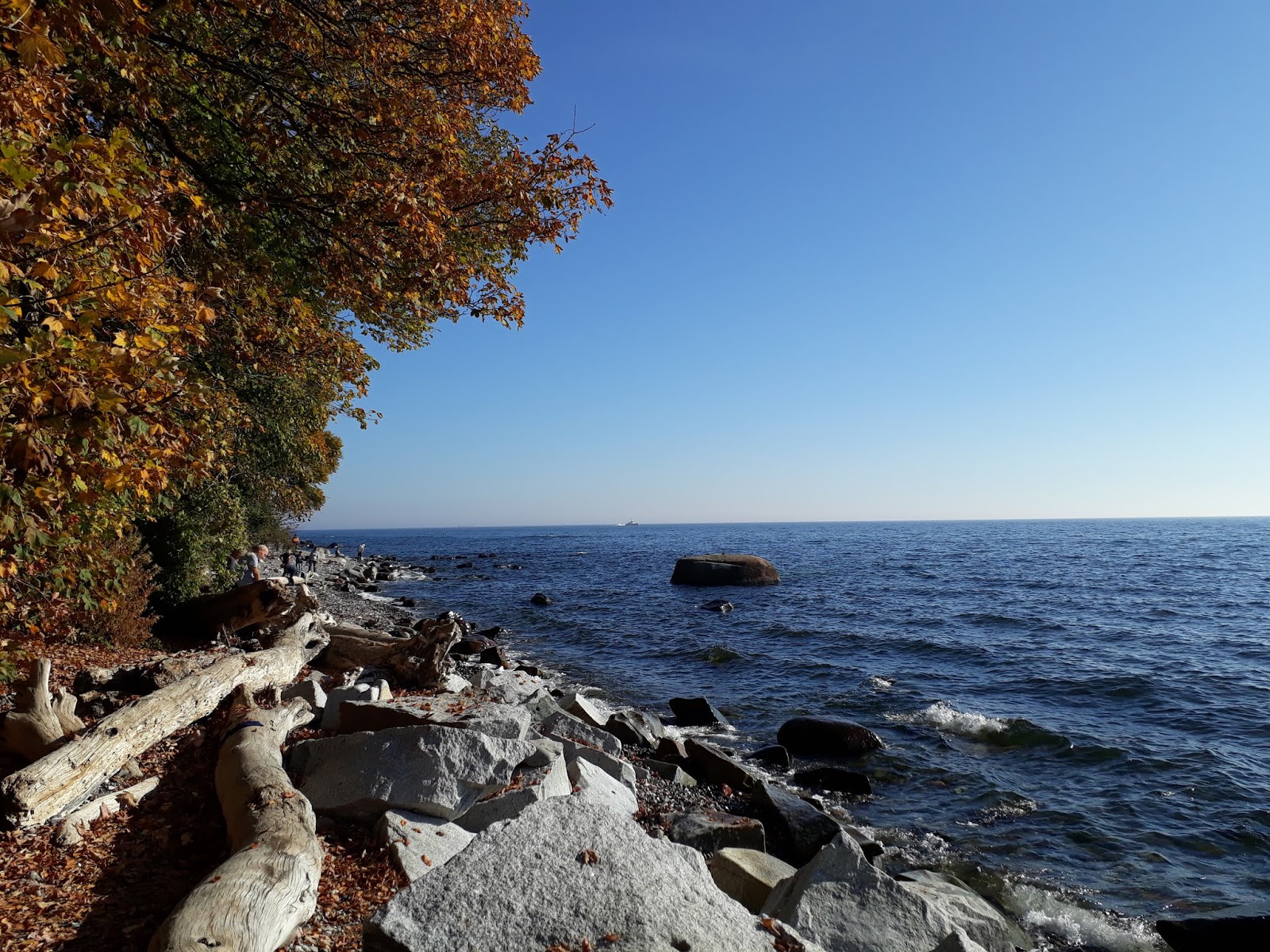 Der Wanderfreund 2018