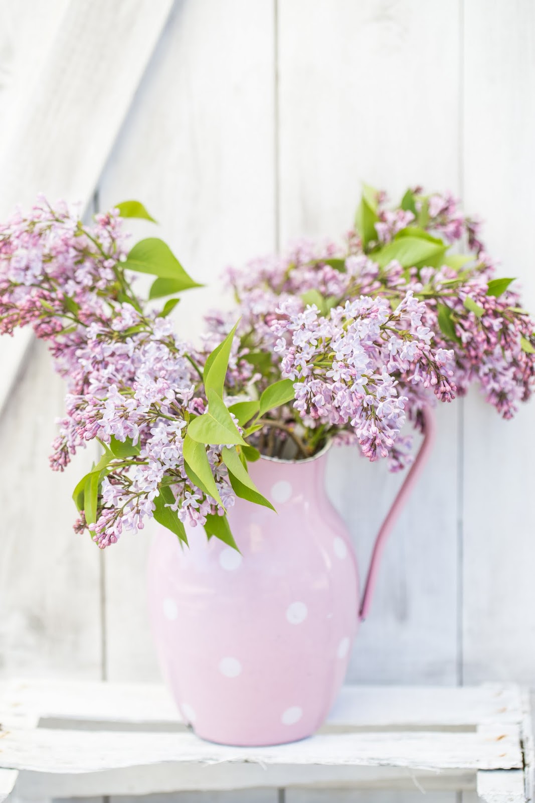 La Pouyette Le Perigord Our Friend S Houses Une Ancienne