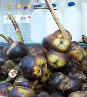 manfaat buah siwalan, manfaat buah lontar