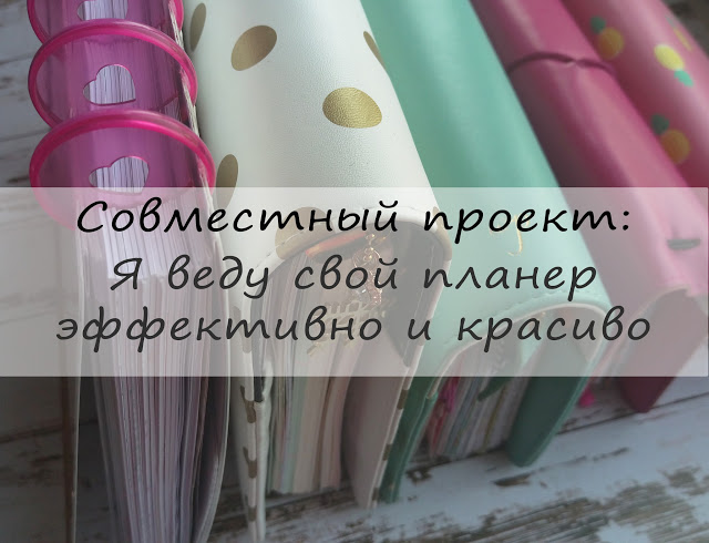 СП "Я веду свой планер эффективно и красиво"