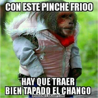 imagenes chistosas de frio graciosas