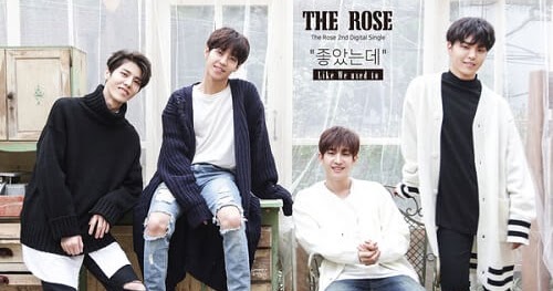 Lirik Lagu Update 2017: Lirik Lagu The Rose – Sorry dan Terjemahannya