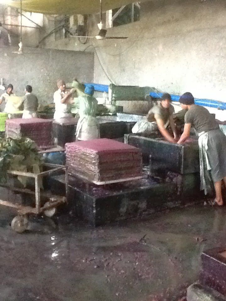 Visiting Paper and Textile Factories in Jaipur