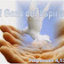 Filipenses 4,13 - El Gozo del Espiritu Santo ( Mp3 )