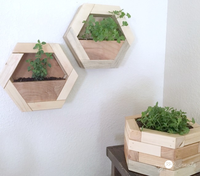 DIY Hexagon Planters, MyLove2Create