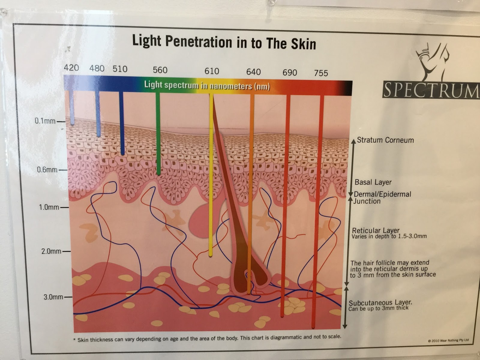 The Cosmetic Medicine Workbook Light therapy Laser and IPL