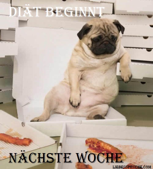 lustige sprüche, lustige sprüche bilder, lustige sprüche für freunde lustige-sprüche-für-freunde
