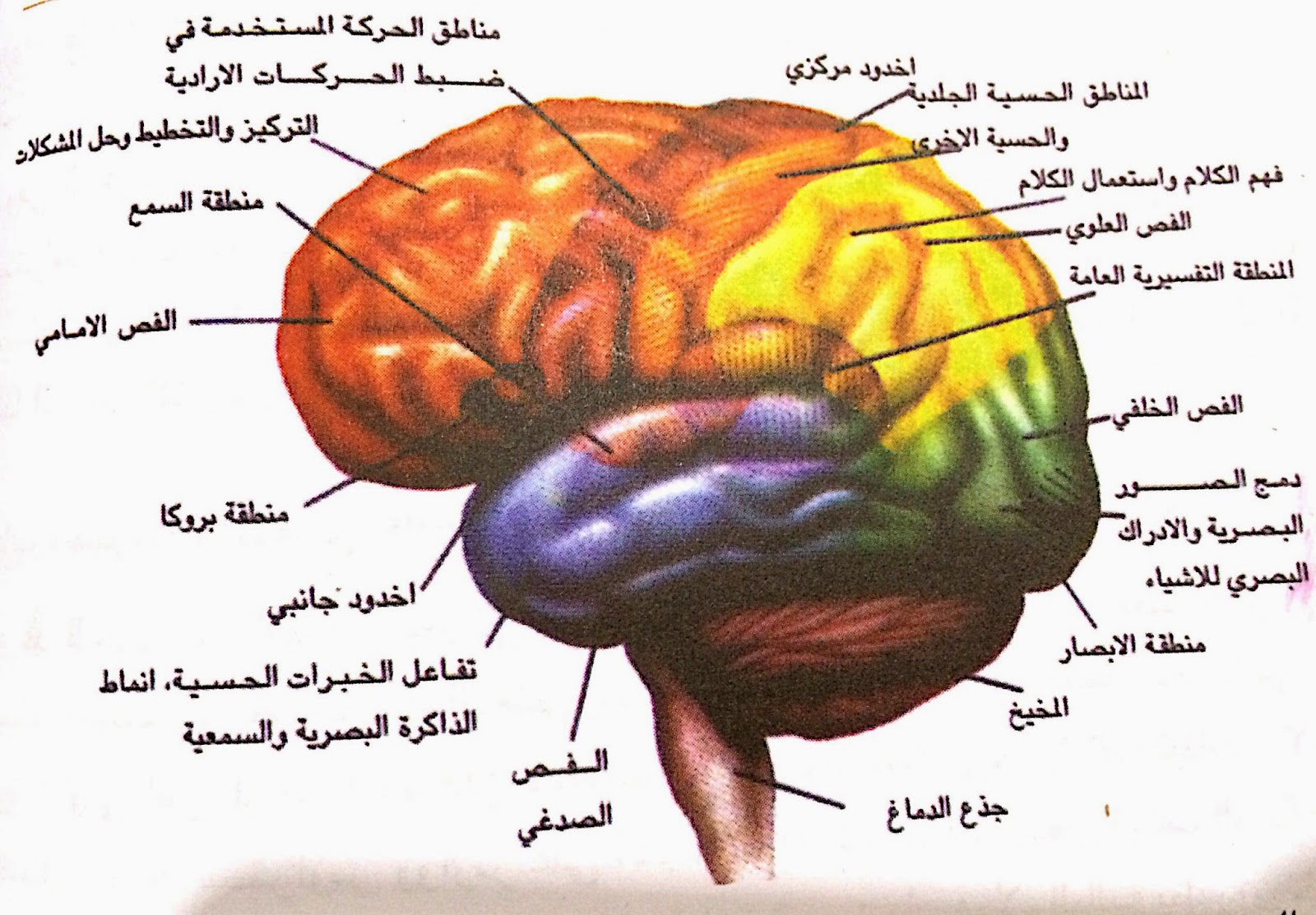الإعاقة الخفيَّة : أسباب صعوبات التعلم