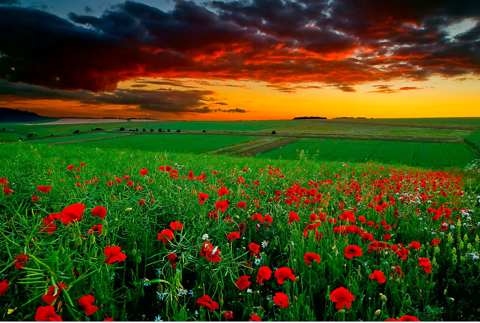 Desktop Wallpaper Size | Free Pictures Images