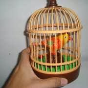 Kandang Burung Lucu Tentang Kolam Kandang Ternak