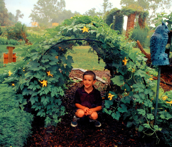 Penn Yan Community Garden: Inspiring Garden Ideas for Kids